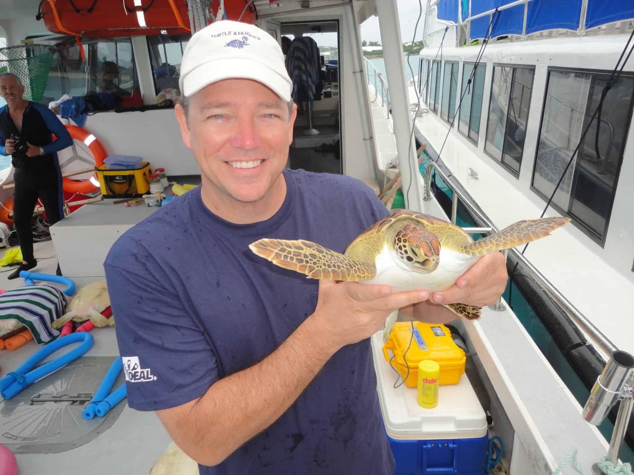 Baby Turtles Face Predators, Heat, and Funding Cuts. One Group Fights ...