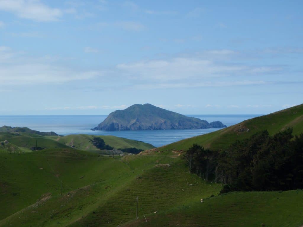 Stephens Island
