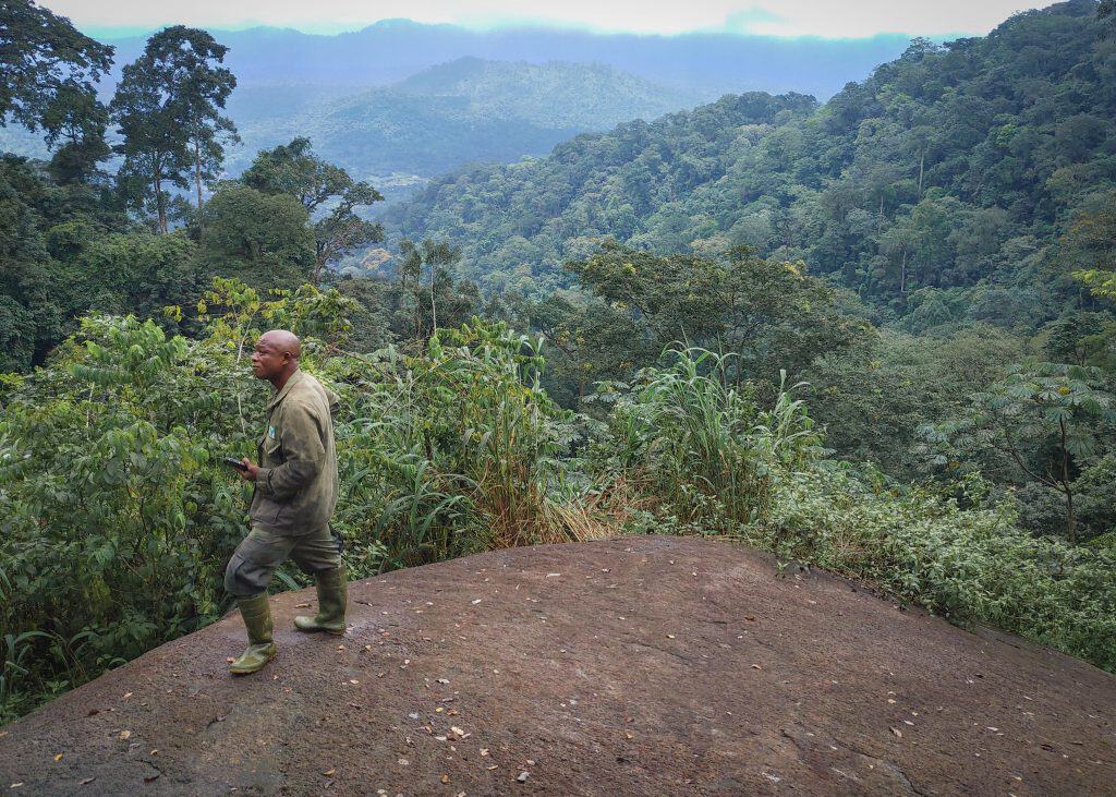 A ranger spotted on a peak in Afi Mountain Wildlife Sanctuary.