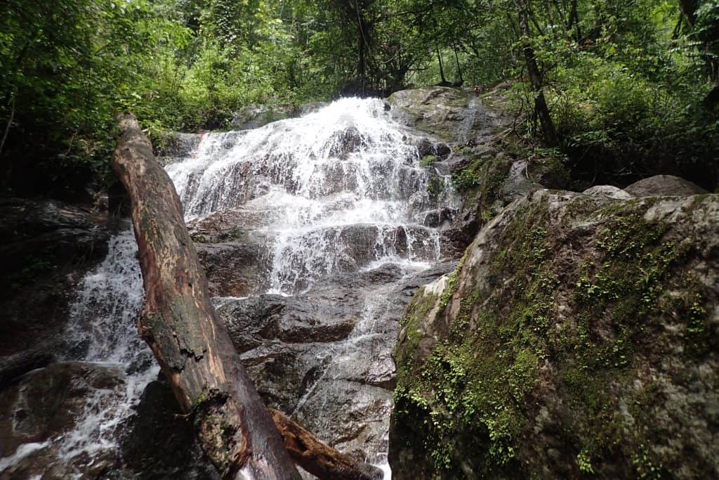 Afi Mountain Wildlife Sanctuary, Cross River State