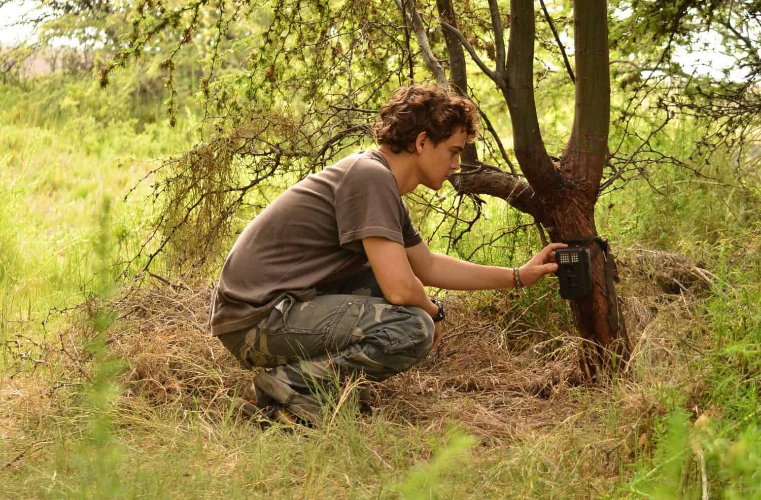 A male wildlife biologist setting a camera trap on a tree