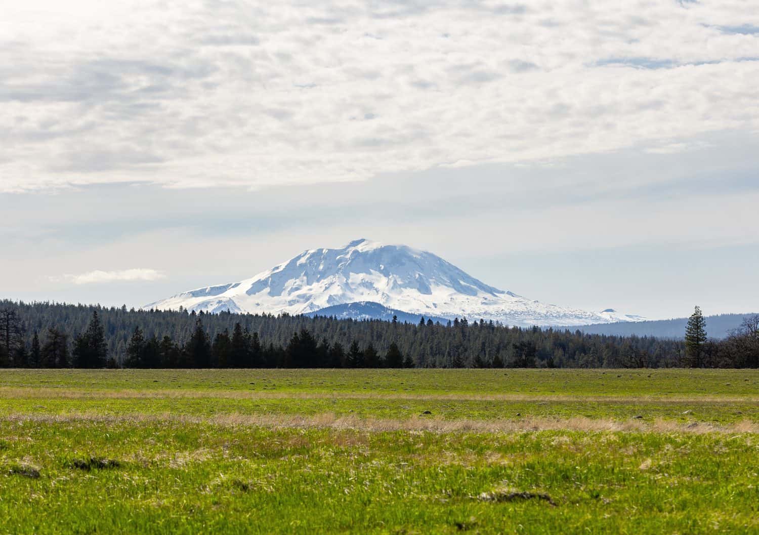 Yakama Nation Reservation, USA - April 21, 2024: Landscape photo of Patho, commonly known as Mt. Adams. Viewpoint near Yakima, Washington.