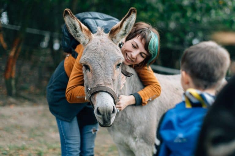 In a serene outdoor setting, a woman hugs a donkey while a delighted child watches. This heartwarming scene highlights the bond between humans and animals, showcasing joy in nature