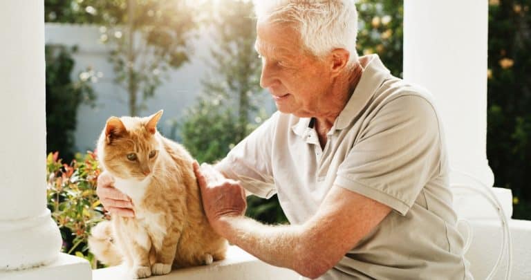 Relax, cat and happy with old man in garden of home for emotional support animal, retirement and feline care. Bonding, service pet and kitten with senior person in backyard of house for love