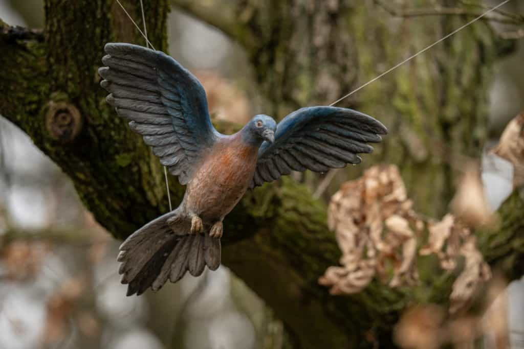 Figurine of the passenger pigeon, an extinct bird species, hanging outdoors.