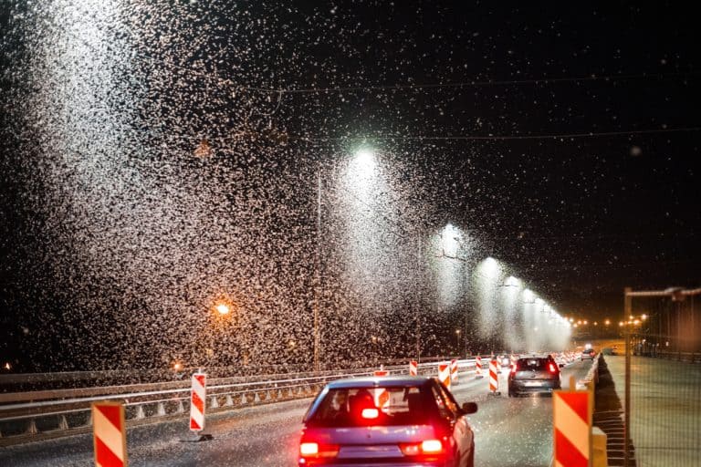 Built Structure, Construction Industry, night bridge mayfly