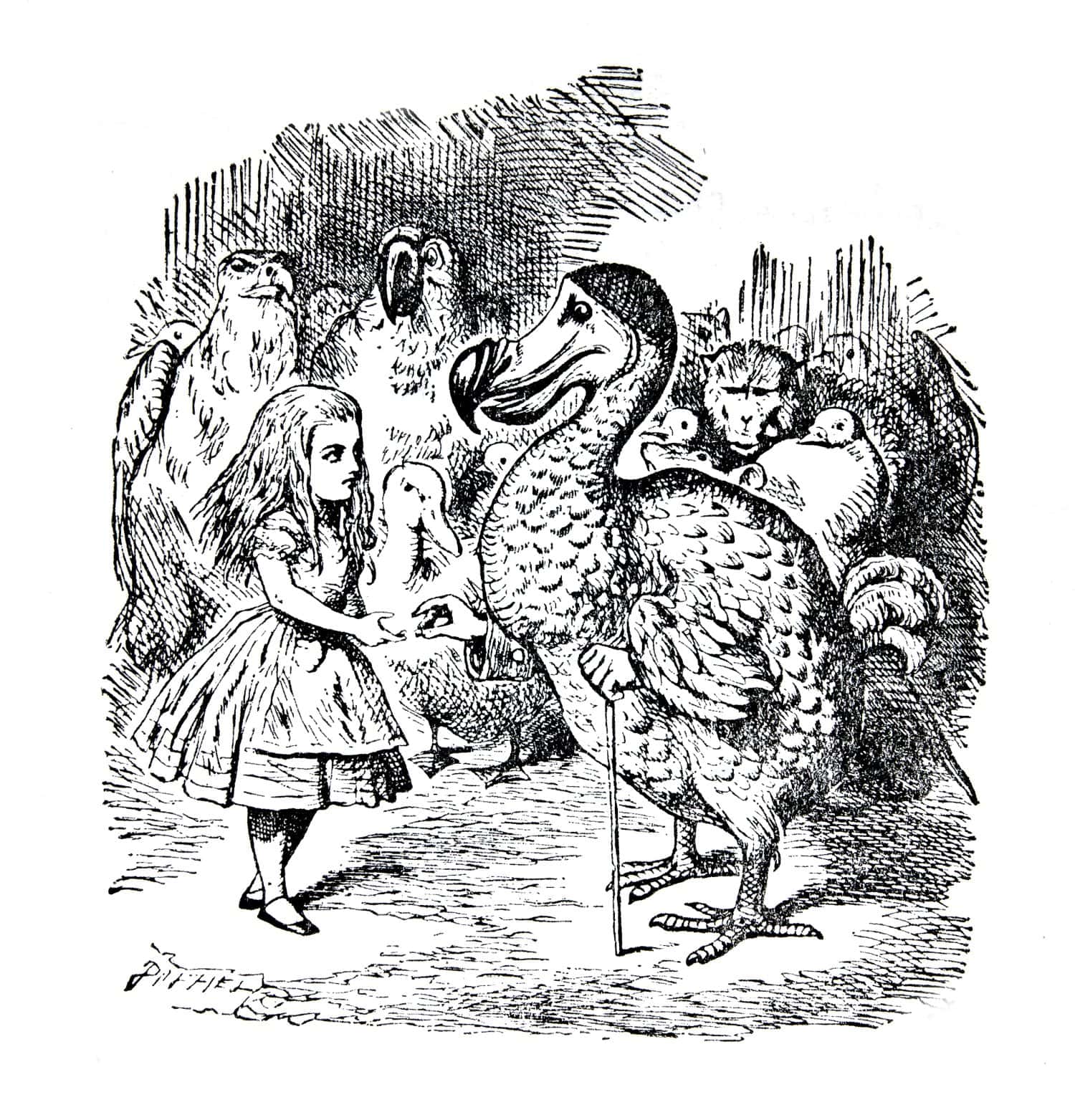Alice and the Dodo. Engraving by John Tenniel (United Kingdom, 1872). Illustration from book ""Alice's Adventures in Wonderland", publisher "Nauka" Moscow, USSR, 1979