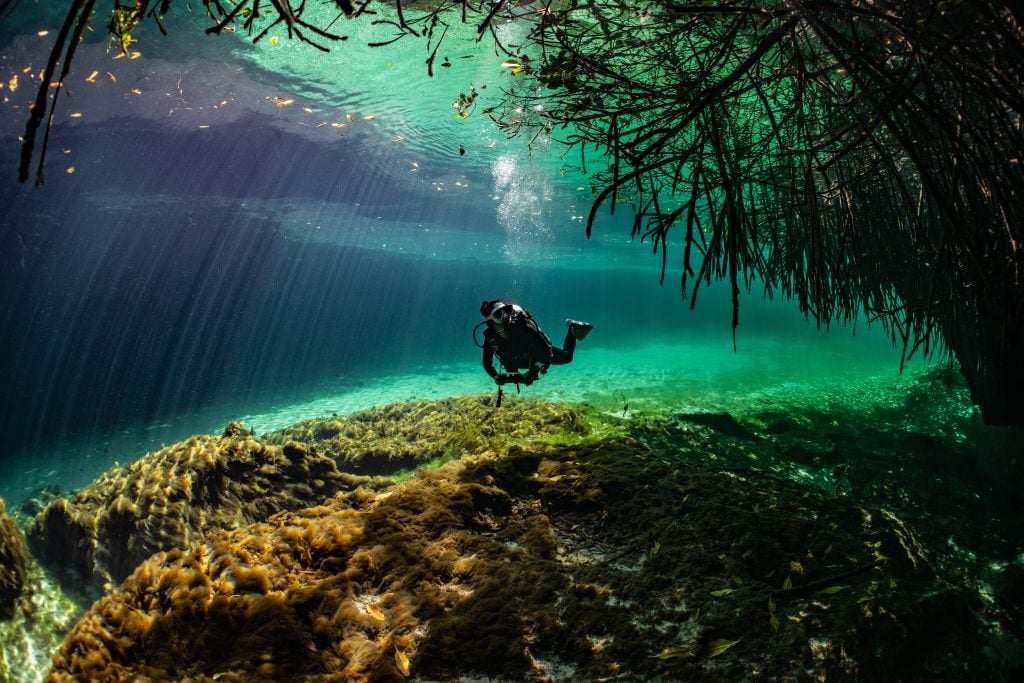 cave diver instructor leading a group of divers in a mexican cenote underwater