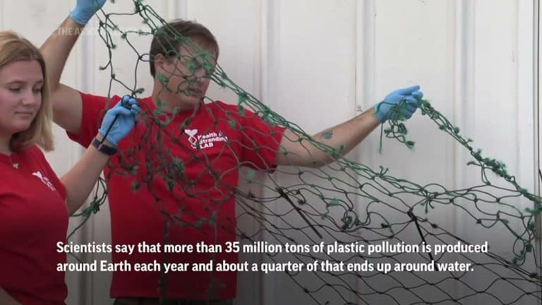 Researchers holding net is vivid and action-driven
