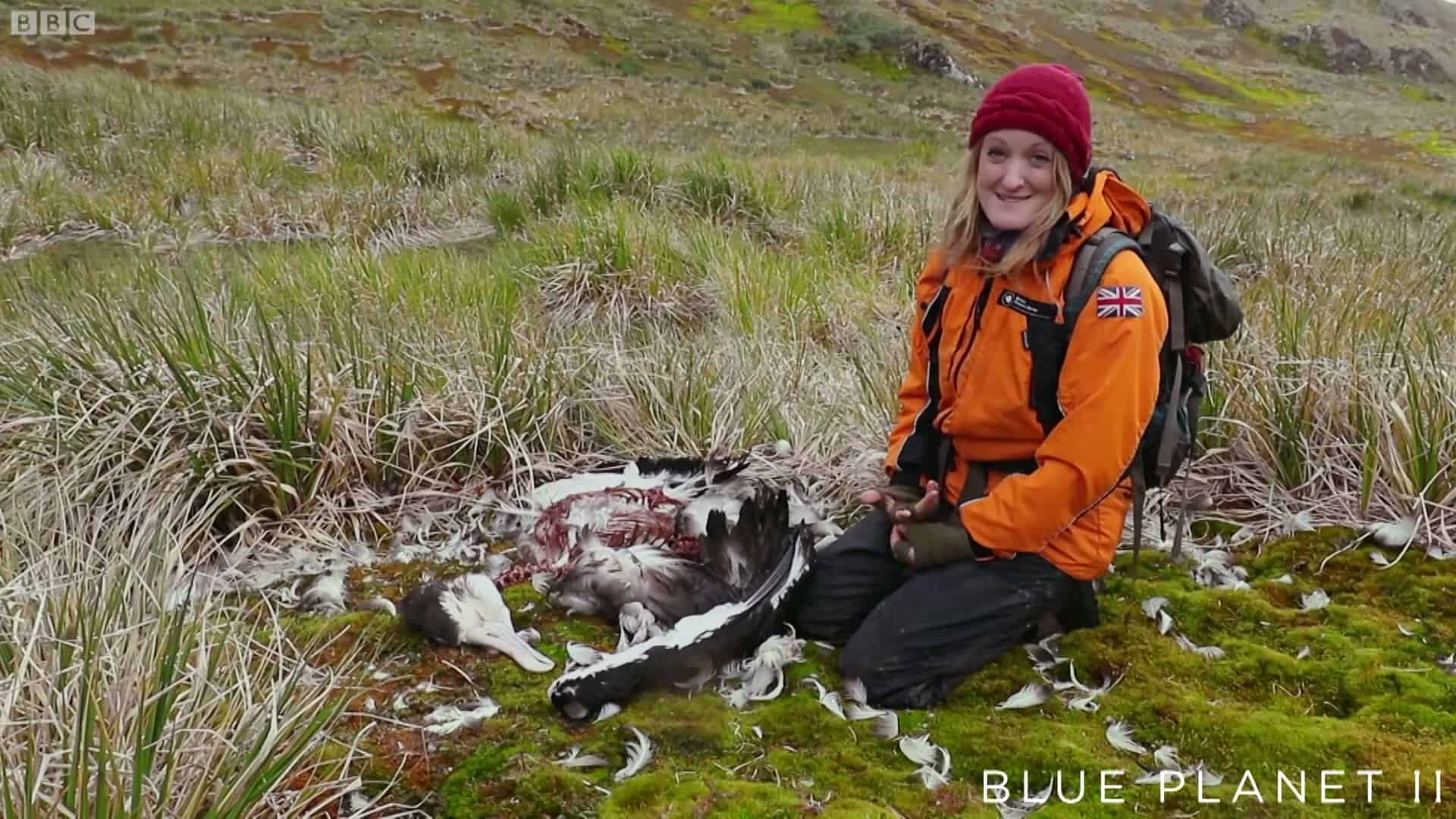 Researcher smiling by carcass, odd tone mismatch