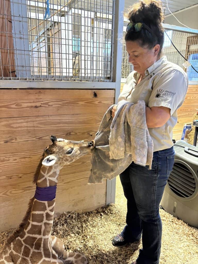 LynnLee Schmidt, Integrator at Tanganyika Wildlife Park