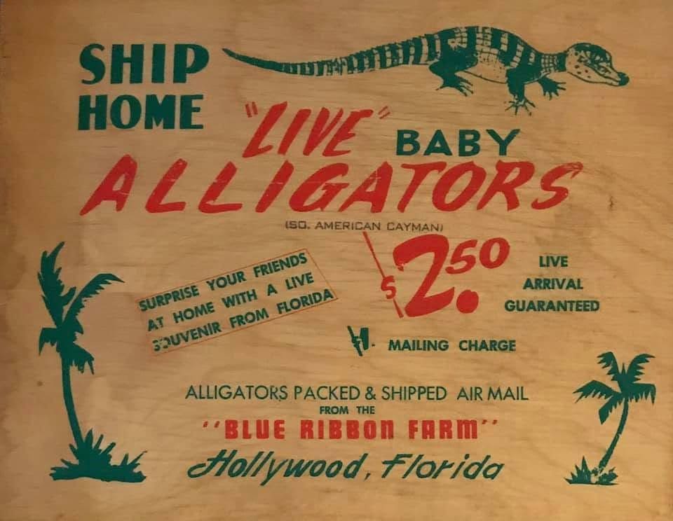A mid-century commercial advertisement printed on wood for the "Blue Ribbon Farm" in Hollywood, Florida.