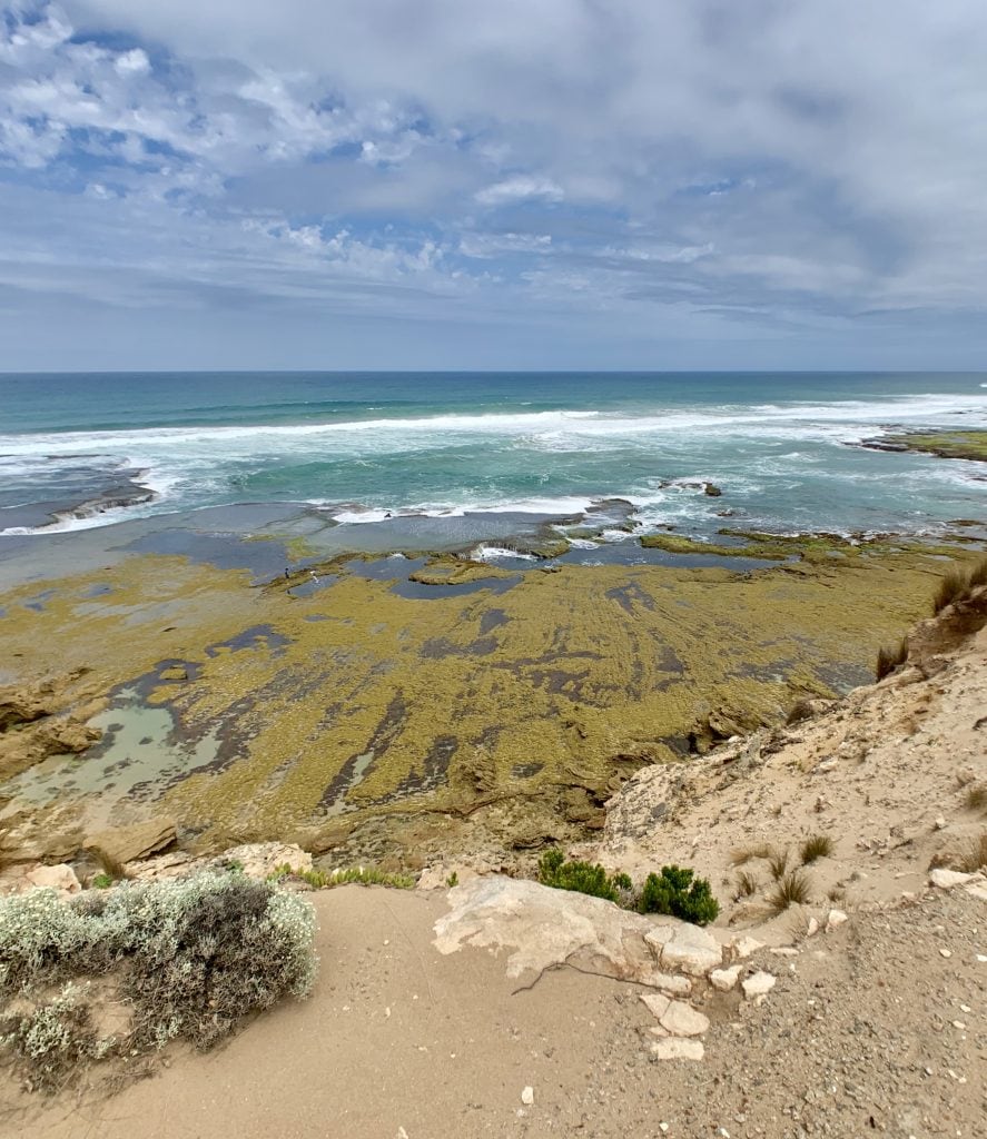 Beach with sand in foreground, ocean in background, and yellow-green stuff in between