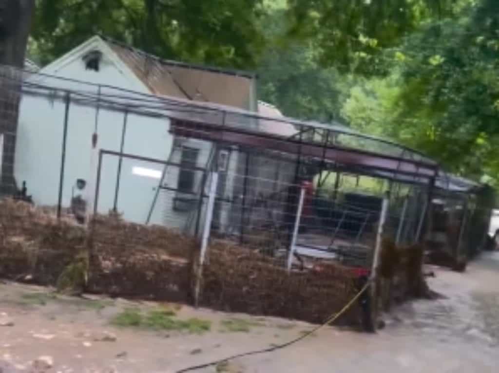 Devastation at Buck Wild Animal Rescue and Wildlife Rehab