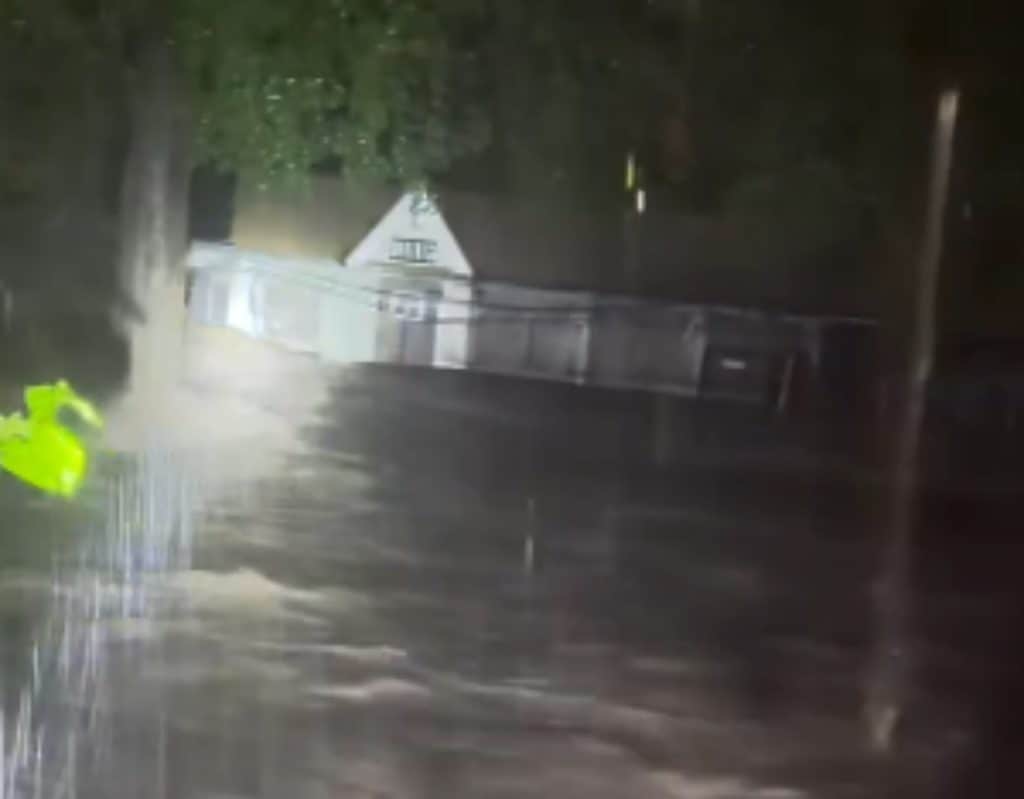 Buck Wild Animal Rescue and Wildlife Rehab devastated by flooding