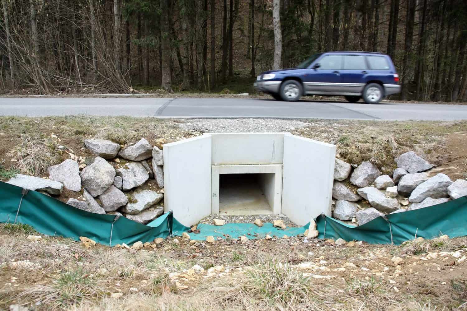 Frog Protection spawning migration project - Frogs are stopped at the fence, they jump along the fence which ends at a tunnel. The tunnel leading to a wetland, is specially for frogs to avoid traffic.