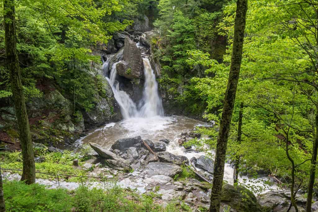 Bash Bish Falls landscape - horizontal