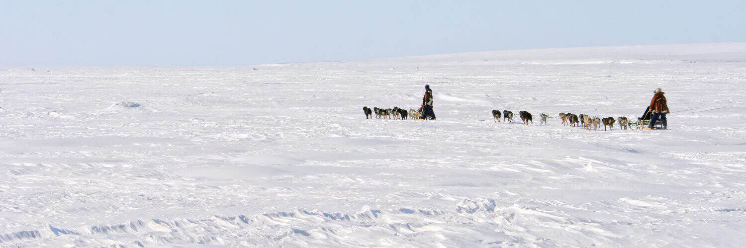 Two dog teams in the Arctic. The mushers on the traditional Chukchi sled. Riding sled dogs. Polar travel and extreme tourism. Amazing experience. Chukotka, Siberia, Far East Russia. Arctic landscape.