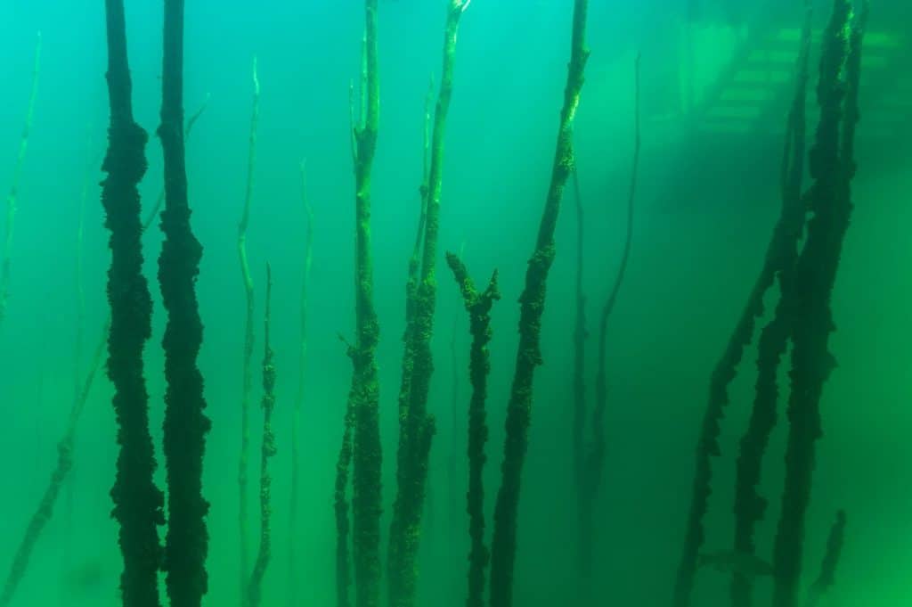 Thermocline cloud found in cold water diving creating layers of cloudy water.