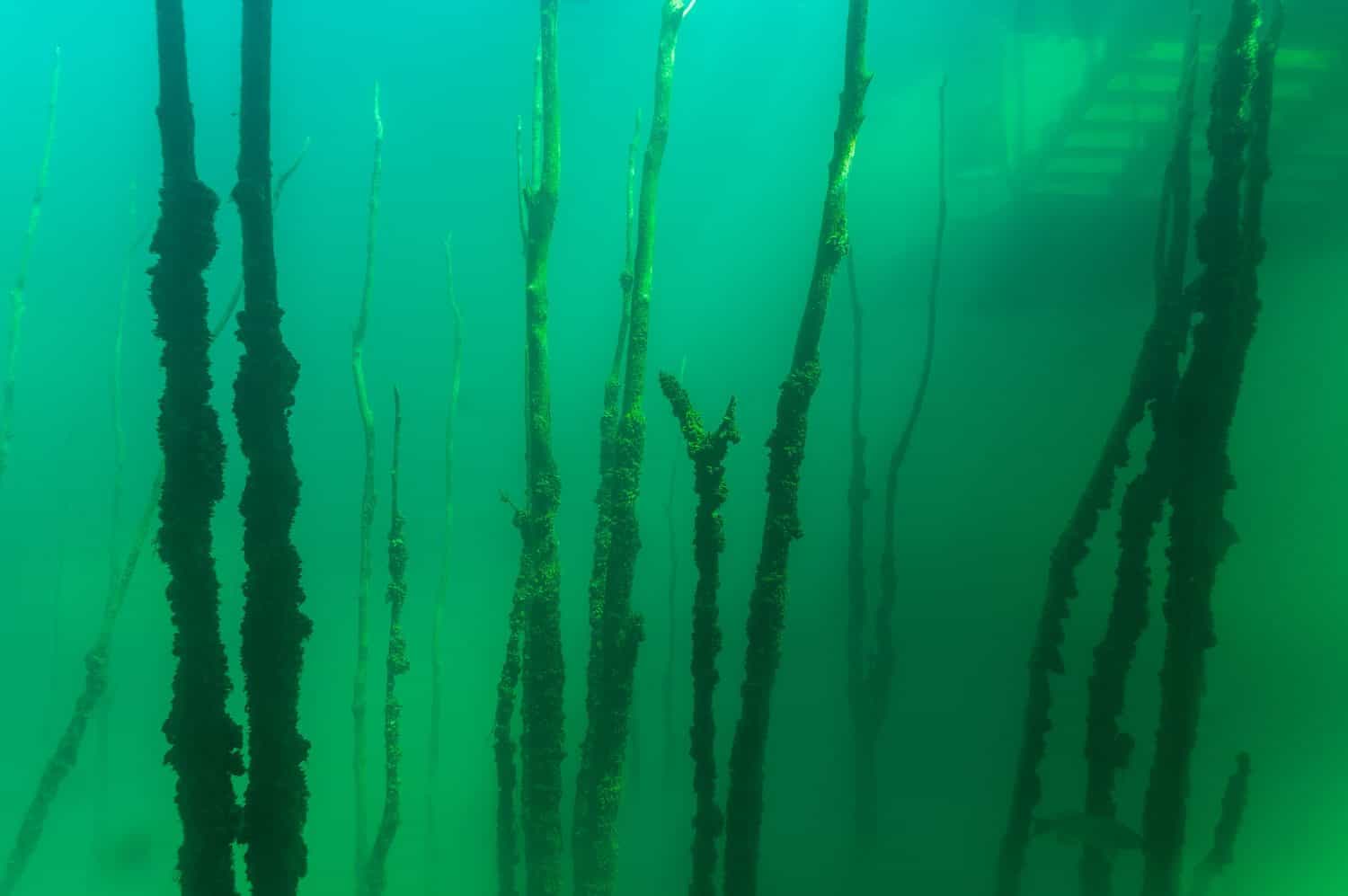 Thermocline cloud found in cold water diving creating layers of cloudy water.