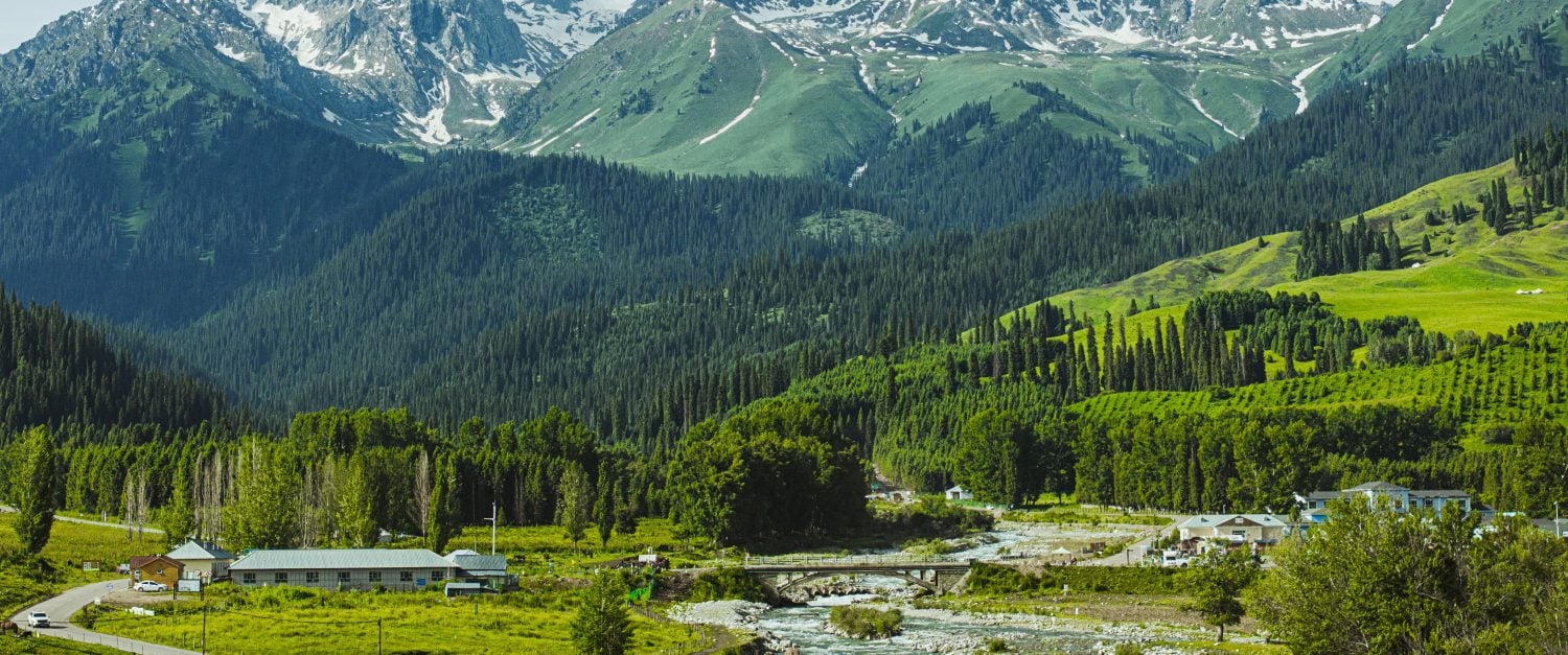 alpine grasslands of the Ili River Valley in Xinjiang