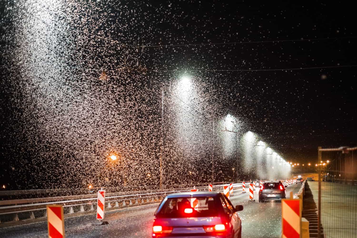 Built Structure, Construction Industry, night bridge mayfly