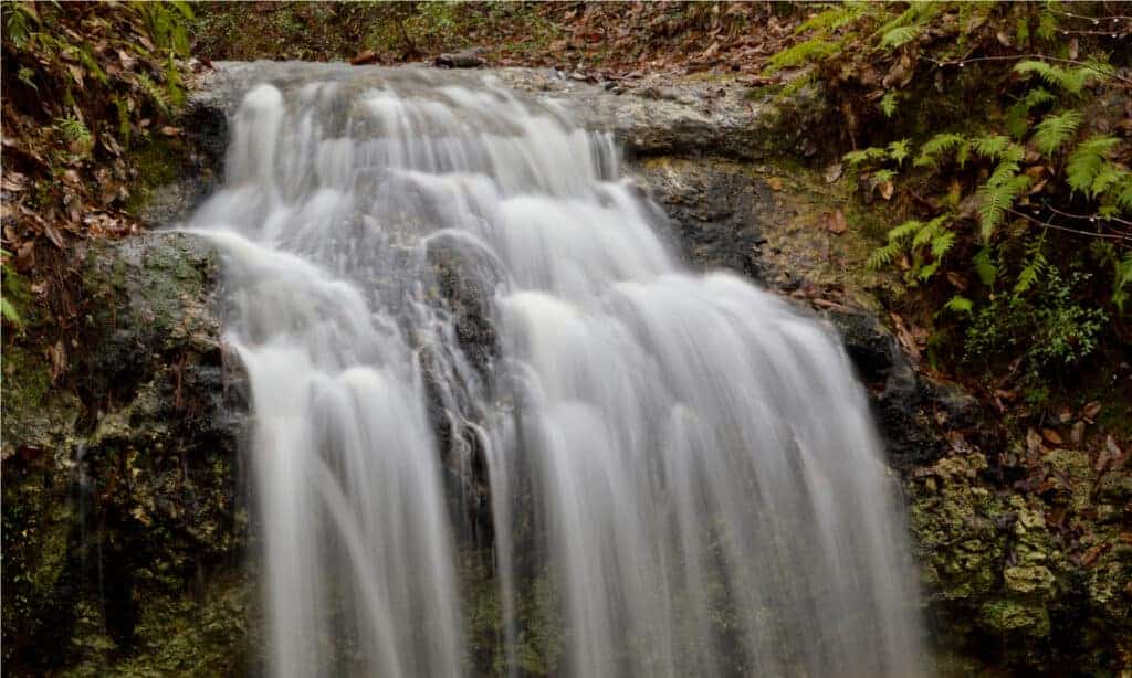 Falling Waters Sinkhole Trail