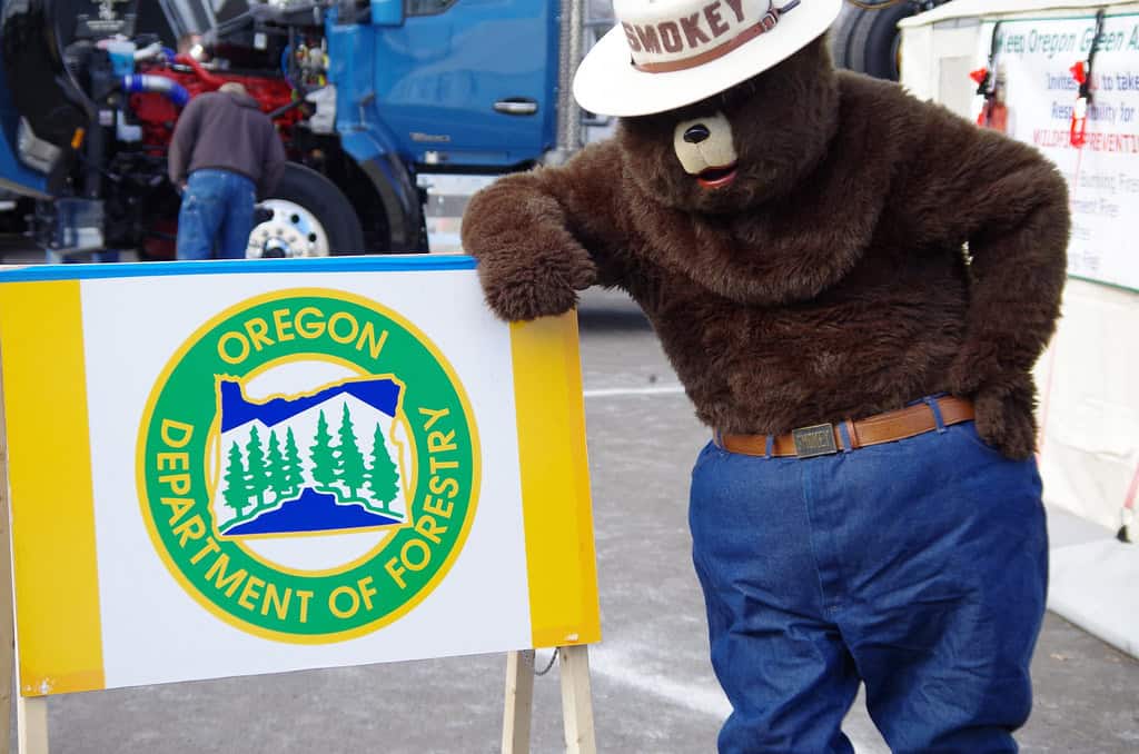 Smokey Bear-fire prevention education