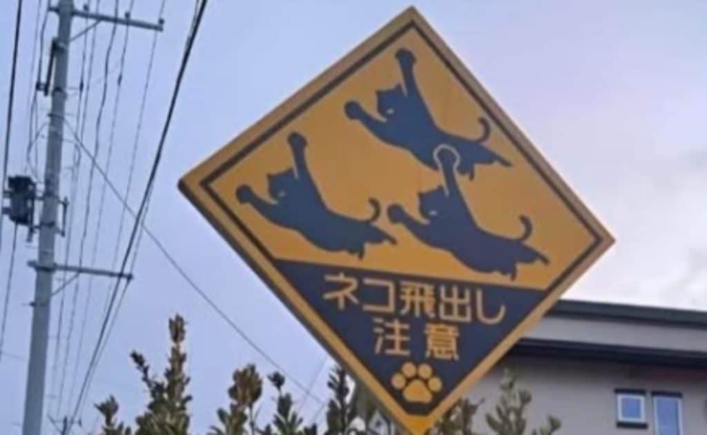 Sign warning people of cats running into traffic in Japan