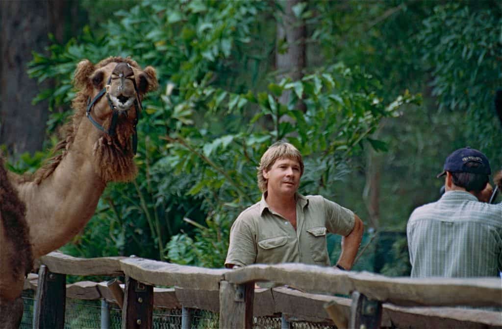 Steve Irwin at Australia Zoo, Beerwah, South Queensland, AUSTRALIA