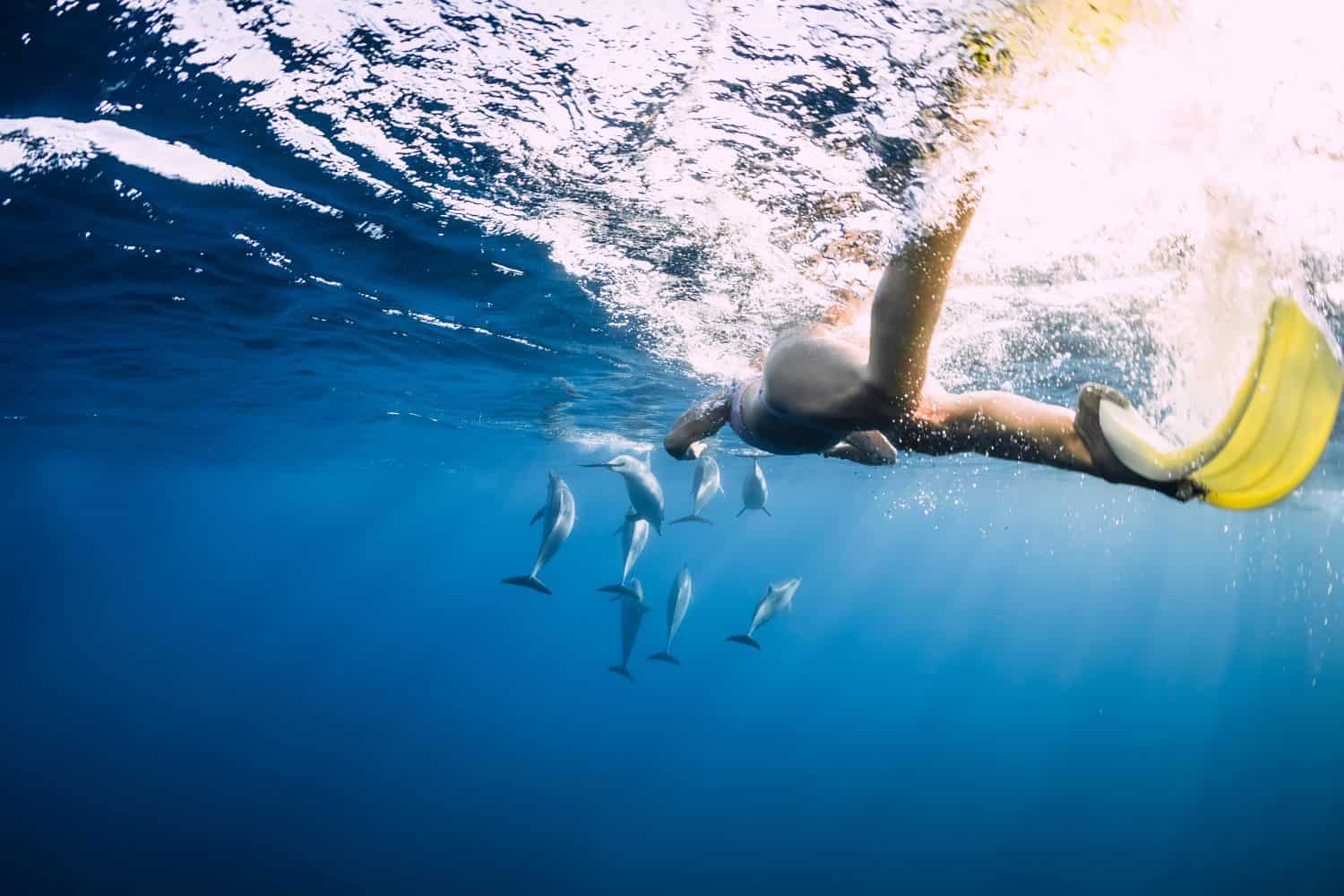 Young woman swim underwater with spinner dolphins in blue ocean at Mauritius