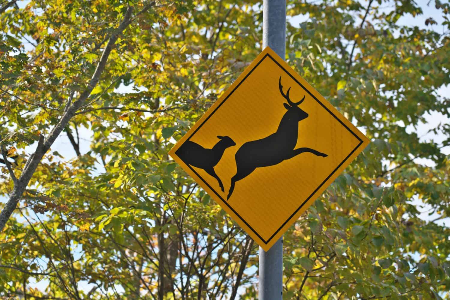 Deer family crossing sign in Hokkaido, Japan