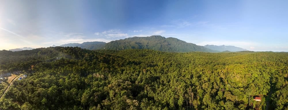 View of the rain forest in Seram Island, Maluku, Indonesia