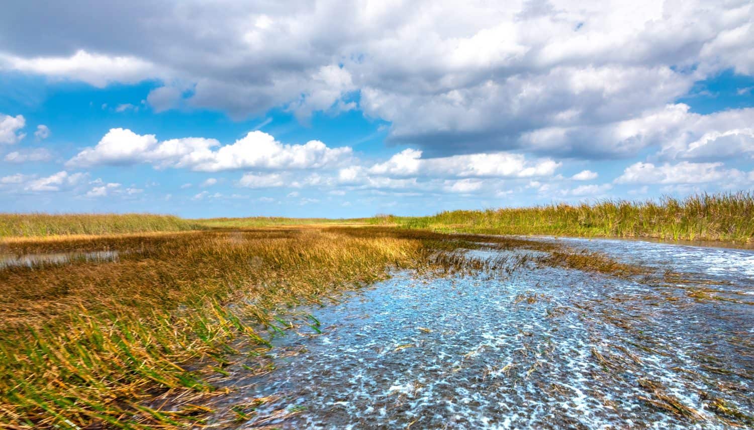 Riding an air boat in the Everglades National Park, Florida, USA
