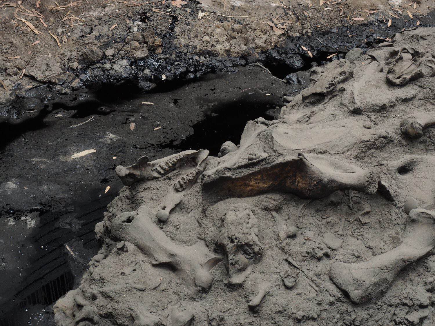 Tar pit