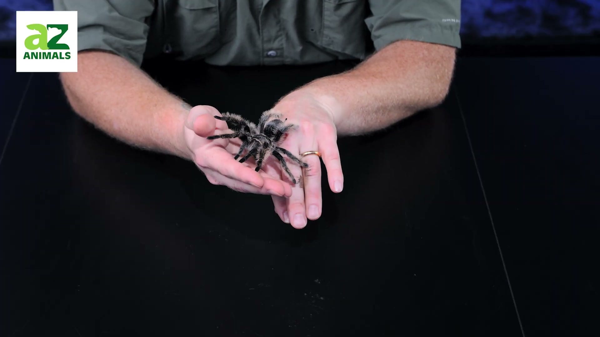 Clean hand-hold shot, good clarity but plain background