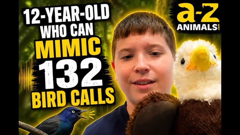 Amazing Bird Sounds Made by a 12-Year-Old | Samuel Henderson Interview