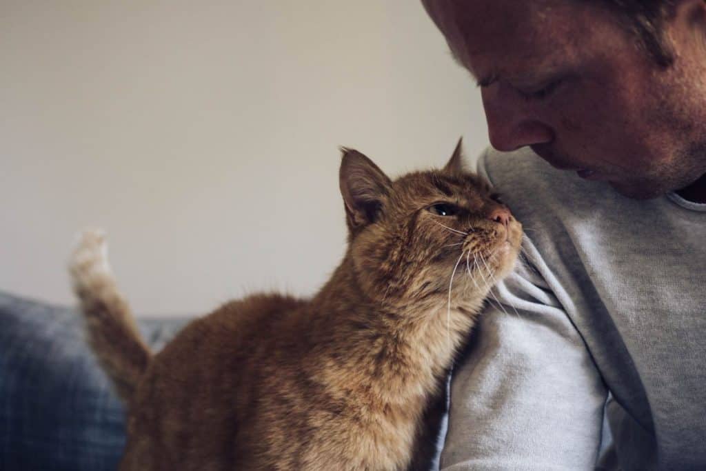 Your Cat Knows Exactly Who You Are And Scientists Just Proved It