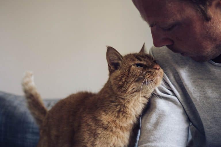 Your Cat Knows Exactly Who You Are And Scientists Just Proved It
