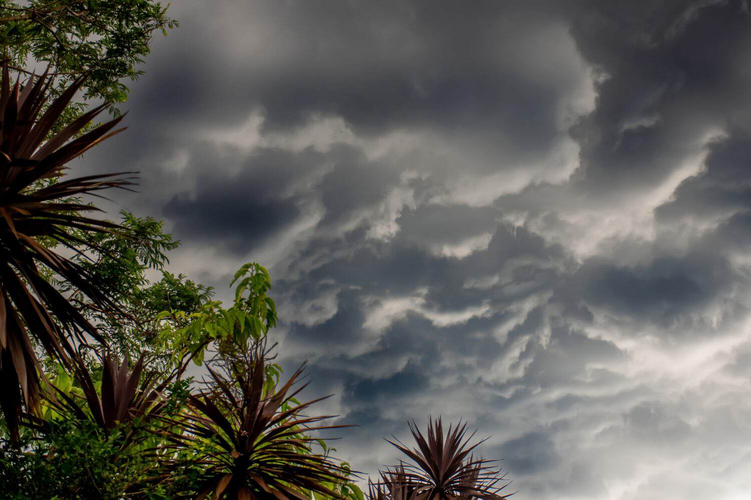The storm is coming. Storm clouds above the tree. Heavy torrential rain. Rainfall flash flooding . Metorology weather forecast. Low pressure area. La Nina
