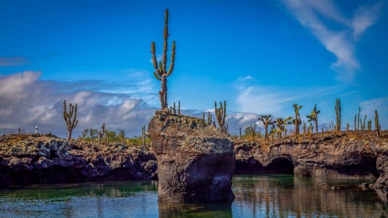 Amazing Landscape of Galapagos Islands