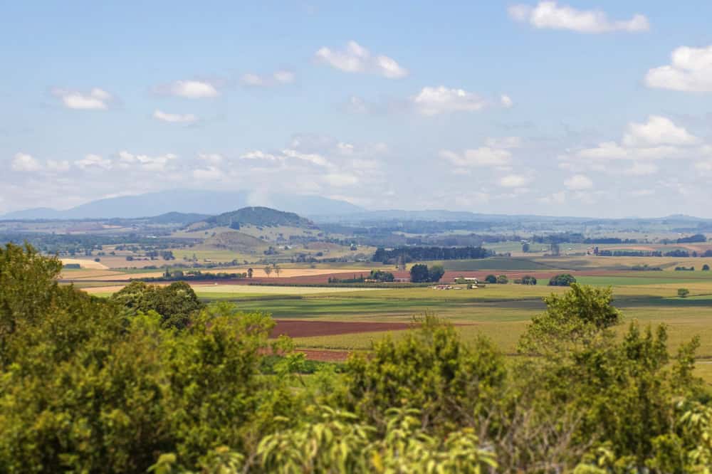Hallorans Hill Lookout is on the edge of town in Atherton and is described as a scenic picnic and barbeque spot on top of an extinct volcanic cone covered in eucalyptus  mabi forest