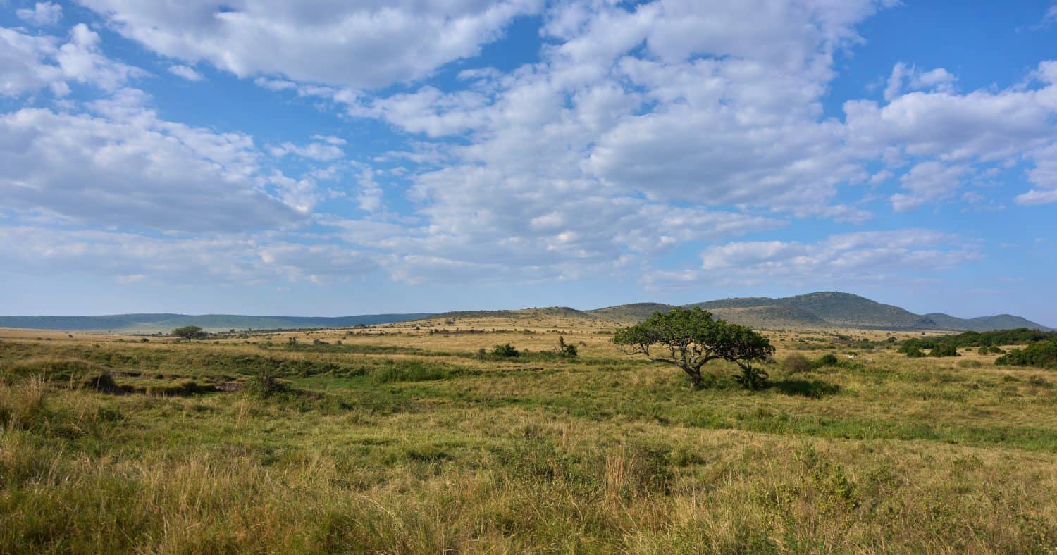 Scenic Landscape of Maasai Mara