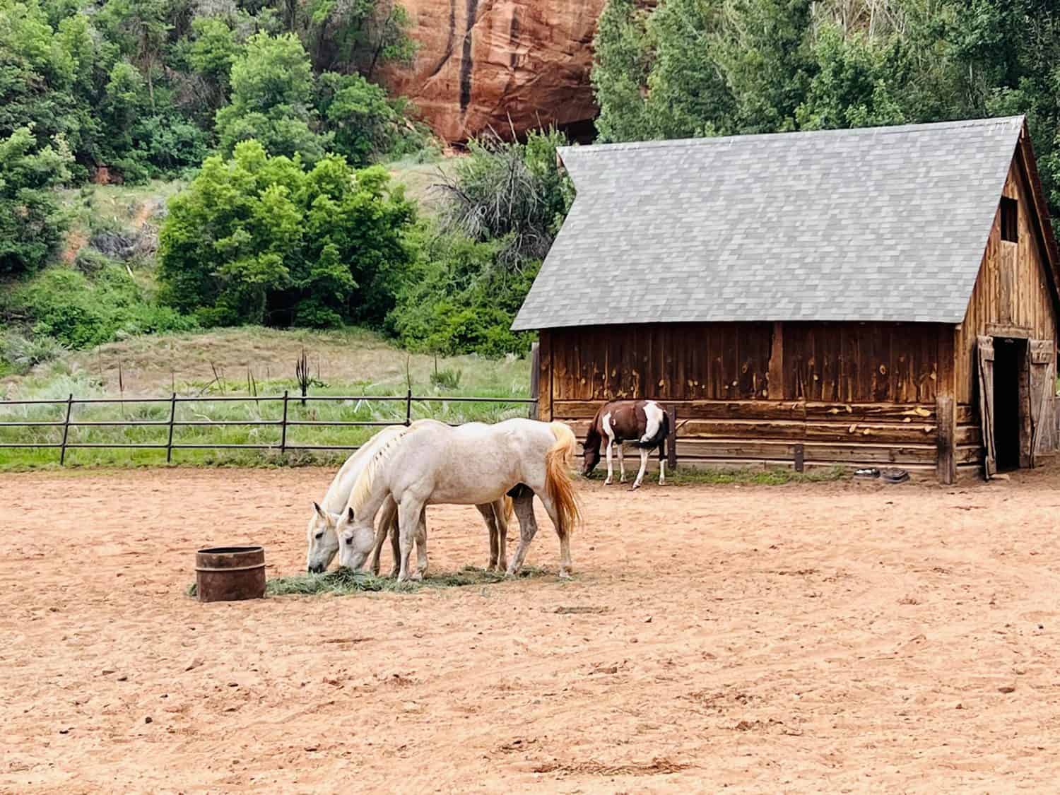 3 Horses Outside A Wood Barn With Red Rocks And Trees
