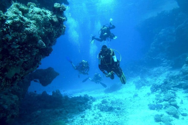 A deep-sea coral ecosystem illustrates the remarkable biodiversity found in the largely unexplored waters off Argentina.