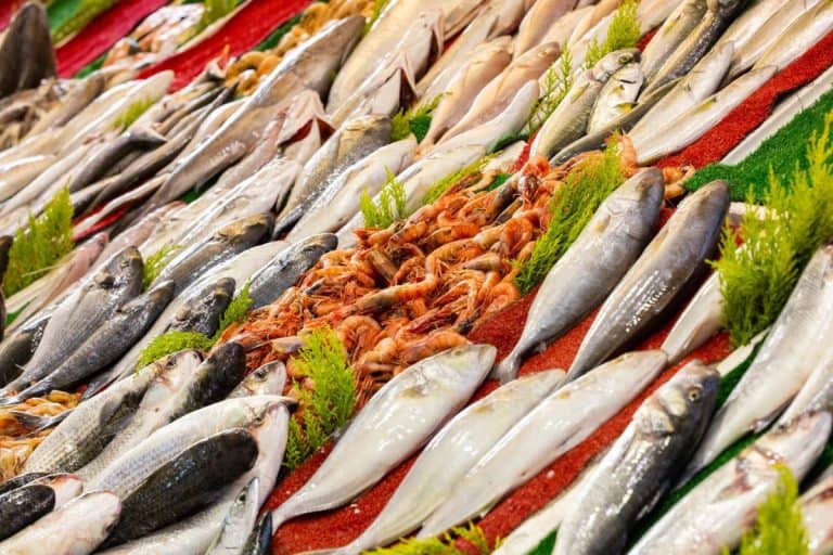 Nearly Half of the Mediterranean's Fished Species Have Moved, Not Always Where Expected