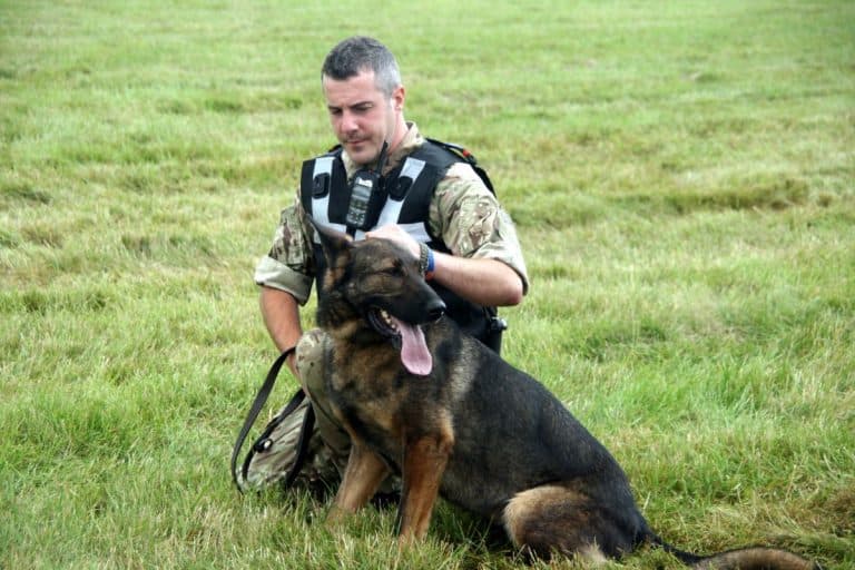 18 Months Apart, a Retired Military Dog and His Handler Finally Saw Each Other Again