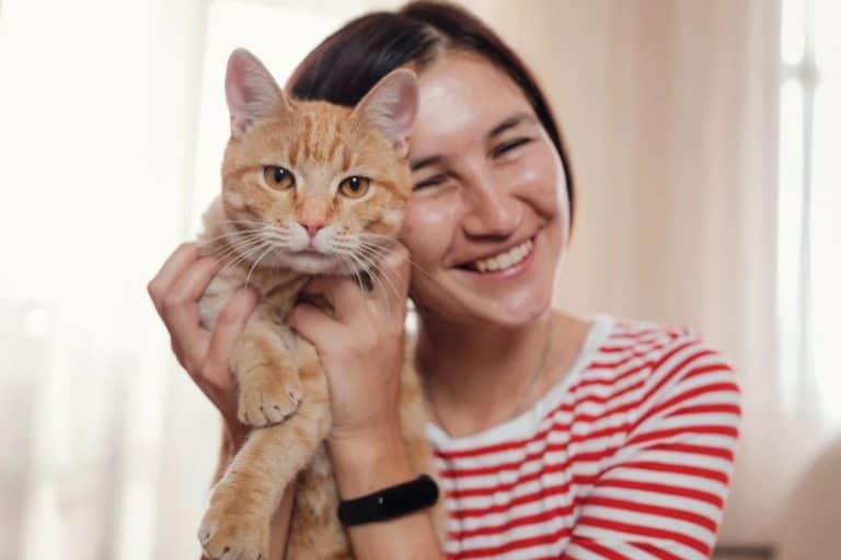 Does Owning A Cat Make You Happier? A 93-Country Study Found A Surprising Link
