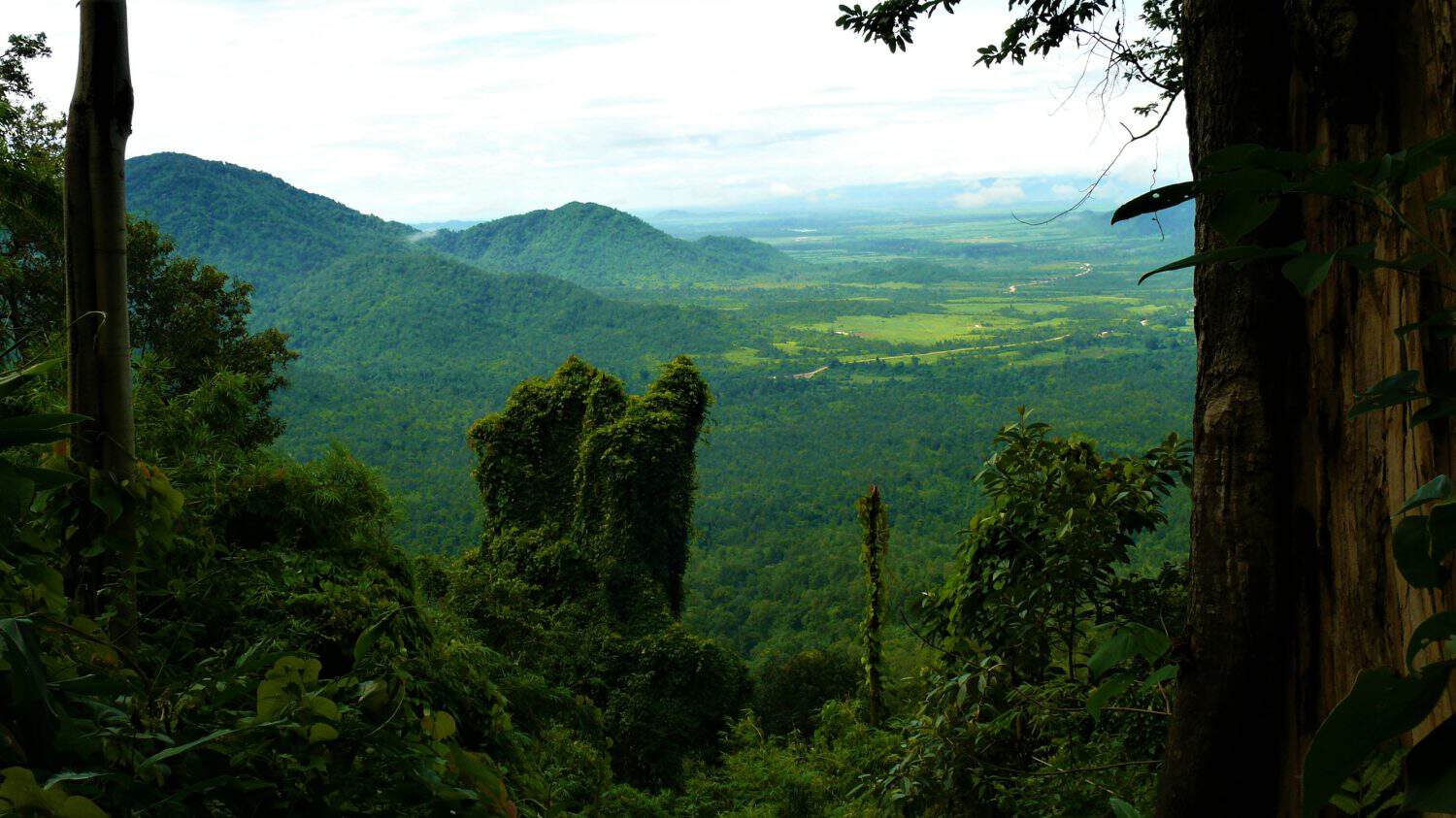 Panoramic view on the Cardamom Mountains, Cambodia. Tropical forest.