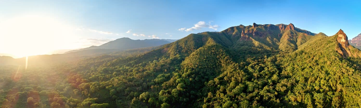 Harenna forest, Ethiopia, Africa. Aerial, large panoramic view of green slopes of Bale mountains covered in montane forest. Setting sun over Bale mountains national park. African nature.